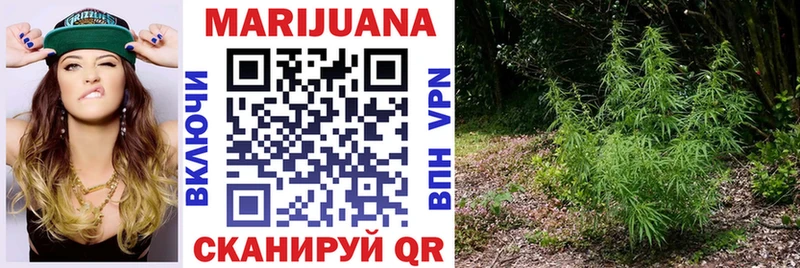 Каннабис план  Купить закладки  Ртищево 